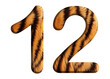 The shape of the number 12 is made of tiger fur or tiger skin isolated on transparent background. suitable for birthday, anniversary and memorial day templates