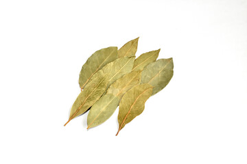 Bay leaf on a white background.