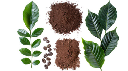 Wall Mural - coffee with coffee beans and real coffee leaves isolated on transparent and white background.PNG image