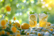 Refreshing summer drinks, lemonade, summer flowers garden background, outdoor photography, 