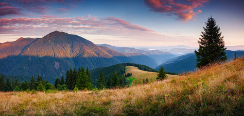 Poster - Panoramic view of the gorgeous mountain landscape at dawn. Location place Carpathian National Park, Ukraine.