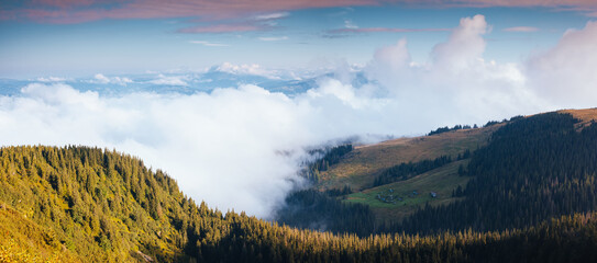 Poster - Peaceful view of the mountainous area with fog in the morning. Carpathian National Park, Ukraine, Europe.