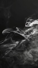 Wall Mural - transparent smoke shapes against black background
