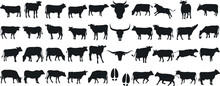 Cow Silhouette Vector Set, Cattle Silhouettes, Diverse Breed Of Cows. Ideal For Farm, Ranch Branding. Perfect For Logos, Decals. Black, White Background. Bulls, Cows, Standing, Walking, Running