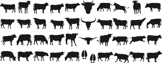 cow silhouette Vector set, cattle silhouettes, diverse breed of cows. Ideal for farm, ranch branding. Perfect for logos, decals. Black, white background. Bulls, cows, standing, walking, running