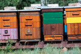 Fototapeta Desenie - Hives with bees flying around