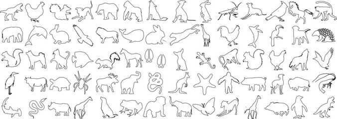 Wall Mural - animal coloring book line art on white background. diverse wildlife outlines perfect for education, 