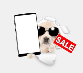 Poster - Golden retriever puppy wearing sunglasses shows big smartphone with white blank screen in it paw and signboard with labeled 