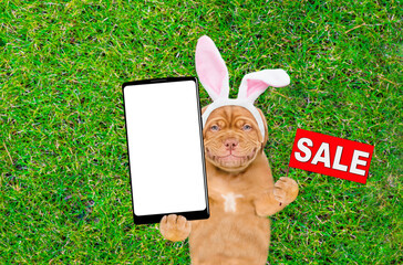 Poster - Happy Mastiff puppy wearing easter rabbits ears holds big smartphone with white blank screen in it paw and lies on its back on green grass. Top down view