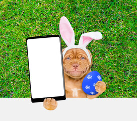 Wall Mural - Smiling Mastiff puppy wearing easter rabbits ears holds big painted Easter egg and holds big smartphone with white blank screen in it paw above empty white banner.  Empty space for text