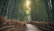 path through bamboo trees with sunlight
