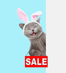 Wall Mural - Happy cat wearing easter rabbits ears holds sales symbol behind empty white banner. Isolated on blue background