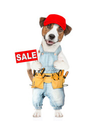 Wall Mural - Funny puppy wearing blue cap and denim overalls with tool belt shows signboard with labeled 