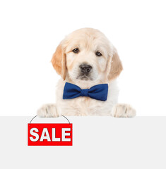 Aufkleber - Smart Golden retriver puppy wearing tiw bow shows signboard with labeled 