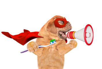 Sticker - Happy Mastiff puppy with big funny teeth wearing superhero costume holds toothbrush and tube of toothpaste in it paws. isolated on white background