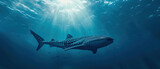 Banner of a whale shark on blured nature background, with empty copy space	