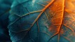 Soothing Leaf Textures: Macro view, leaf background with calming hot and cold tones.