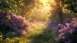 Fototapeta Kwiaty - Sunlit scene overlooking the lilac plantation with many lilac blooms, bright rich color, professional nature photo