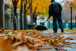 janitor sweeping leaves on a fall day in the hospital yard