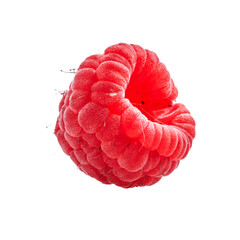 Sticker -  Delicious single raspberry over isolated white background