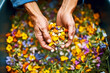 closeup of hands sorting through a bin of mixed wildflowers