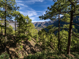 Canvas Print - La Palma