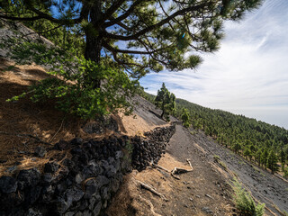 Poster - La Palma