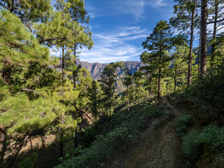 Canvas Print - La Palma