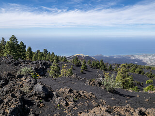 Canvas Print - La Palma