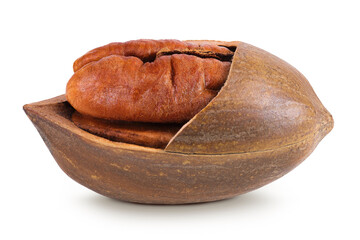 Wall Mural - broken pecan nut isolated on white background with full depth of field