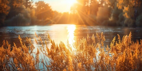 Wall Mural - Serene landscape of reed meadow by river at sunset picturesque scene capturing tranquil beauty of nature with golden sunlight reflecting on water perfect for backgrounds depicting environments