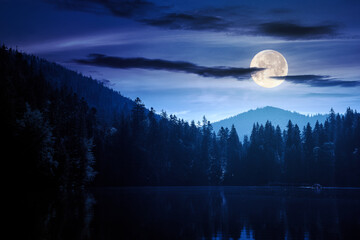 Wall Mural - composite night scene of a lake among forest. beautiful landscape of carpathian national park synevy