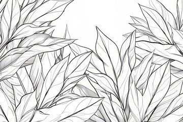 Poster - A tropical leaves background . An abstract botanical design, a hand-drawn flower in a minimalist and line-art contour style. Perfect for fabrics, prints, covers, banners, decorations, and