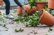 toppled plant pots and a person salvaging a green plant