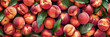peach, garden, fresh, organic, nectarine, healthy, fruit, ripe, juicy