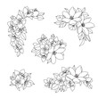 Floral Bunches Set Linear Drawing