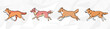 Rennende Australian Shepherd Hunde: Pastellfarbenes Lineart Vektorgrafik Bundle