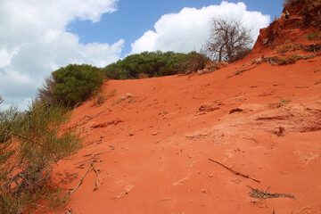 Canvas Print - françois péron park at shark bay in australia