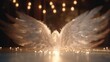angel wings in the night