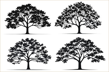 Maple tree silhouette icon set, Silhouettes of maple tree, Tree silhouette isolated on white background