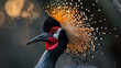 close up wildlife photography, authentic photo of a crowned crane in natural habitat, taken with telephoto lenses, for relaxing animal wallpaper and more