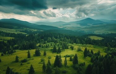 Wall Mural - forest green aerial footage shot just before storm clouds come over mountain in the summer time