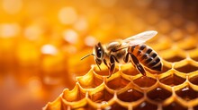 Macro Photo Of A Bee Hive On A Honeycomb. Bees Produce Fresh, Healthy, Honey. Honey Background. Beekeeping Concept. Long Banner Format