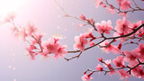 Fototapeta Natura - Beautiful pink spring cherry blossoms