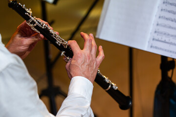 Wall Mural -  Hands of a musician playing the oboe