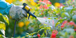 A gardener in a protective suit sprays pest control in a vegetable garden