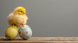 Poussin sur des oeufs de Pâques décorés sur fond gris » IA générative