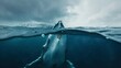 majestic whale in the middle of the sea during the day in high resolution and high quality. concept real sea animals HD