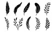 Vector group of black feather on white background. Easy editable layered vector illustration.