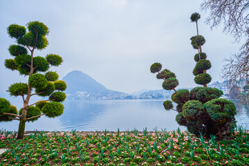 Poster - Flowerbed in lakeside Parco Ciani, Lugano, Switzerland